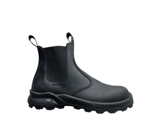 CALEDONIA - 702033C3